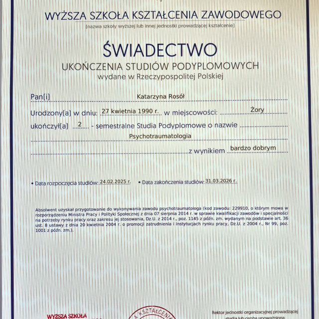 Powiększ obraz: certificate 19