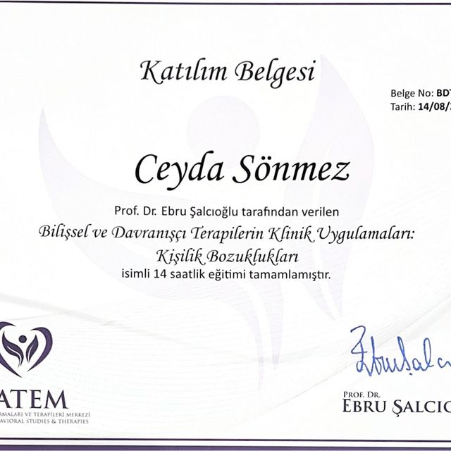 Resmi büyüt: certificate 11