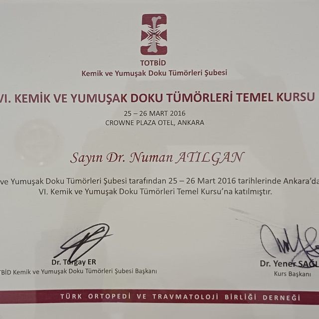 Resmi büyüt: certificate 8