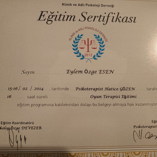 Resmi büyüt: certificate 11