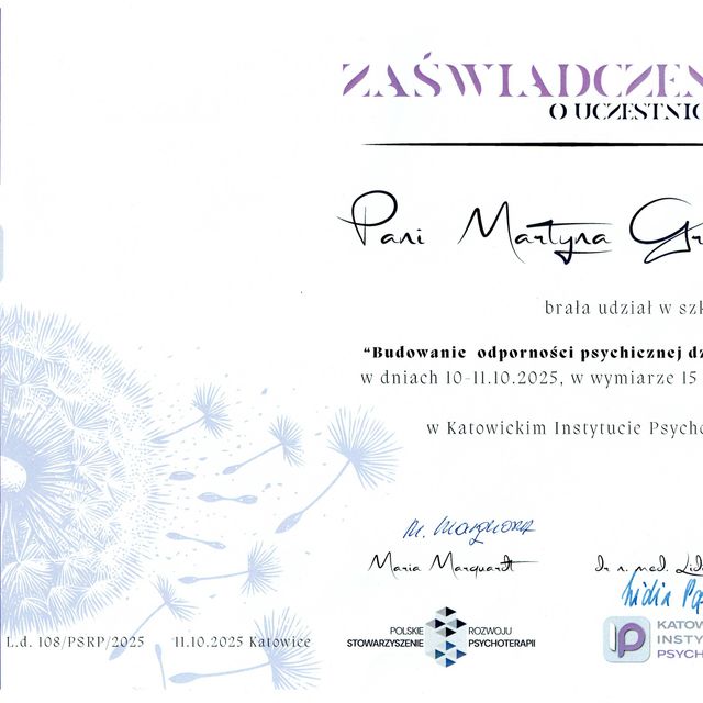 Powiększ obraz: certificate 2