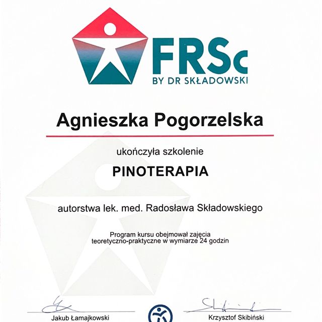 Powiększ obraz: certificate 4