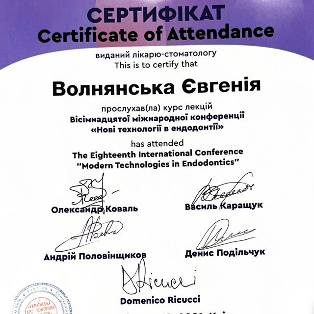Powiększ obraz: certificate 2