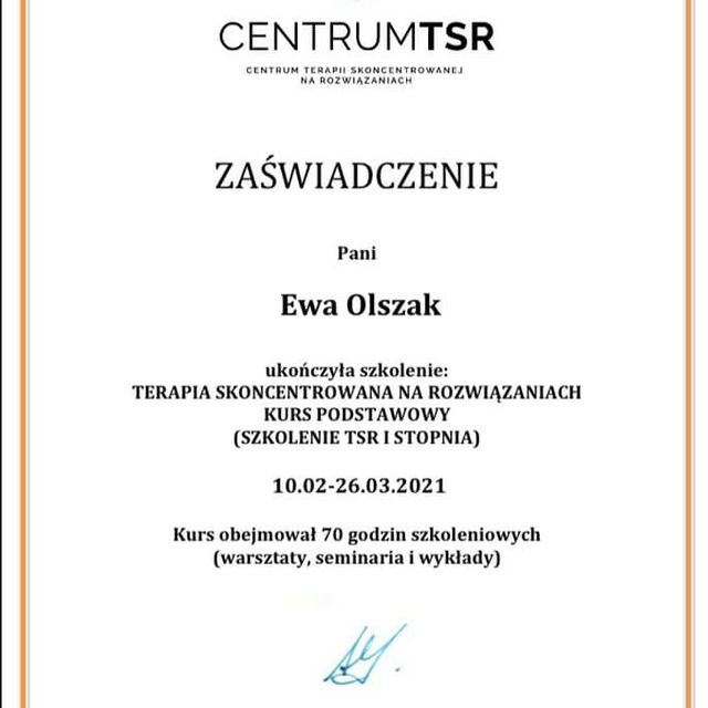 Powiększ obraz: certificate 2