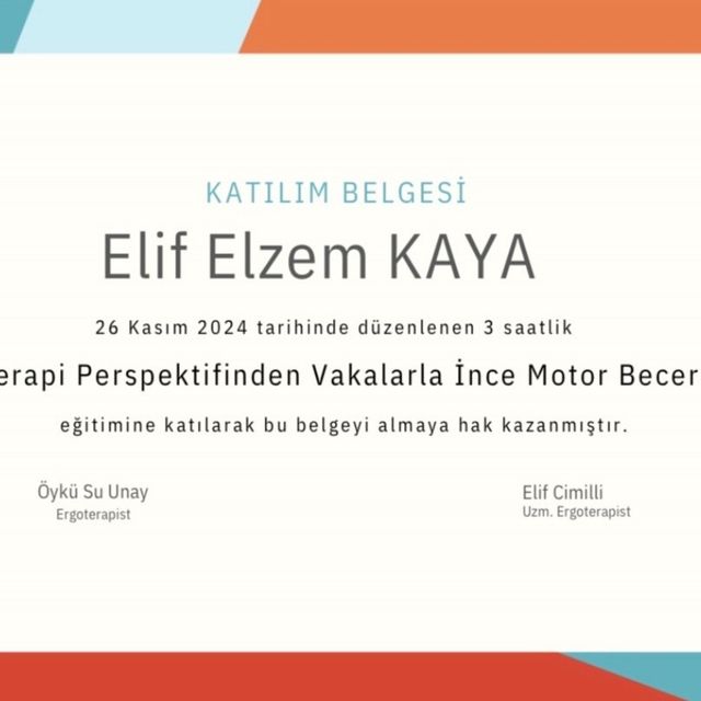 Resmi büyüt: certificate 3
