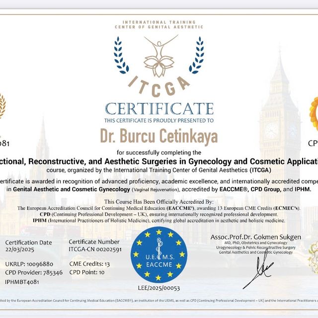 Resmi büyüt: certificate 1