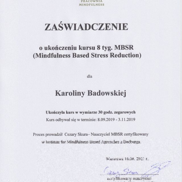 Powiększ obraz: certificate 1