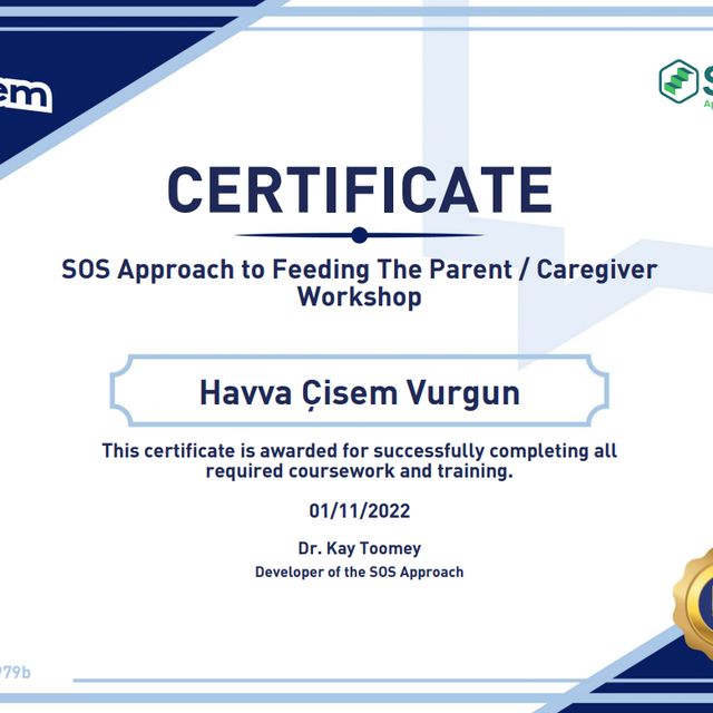 Resmi büyüt: certificate 2