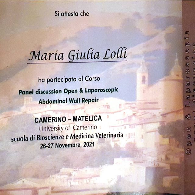Ingrandire l'immagine: certificate 5