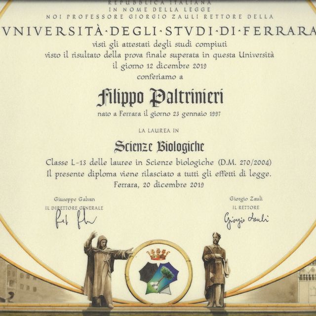 Ingrandire l'immagine: certificate 1