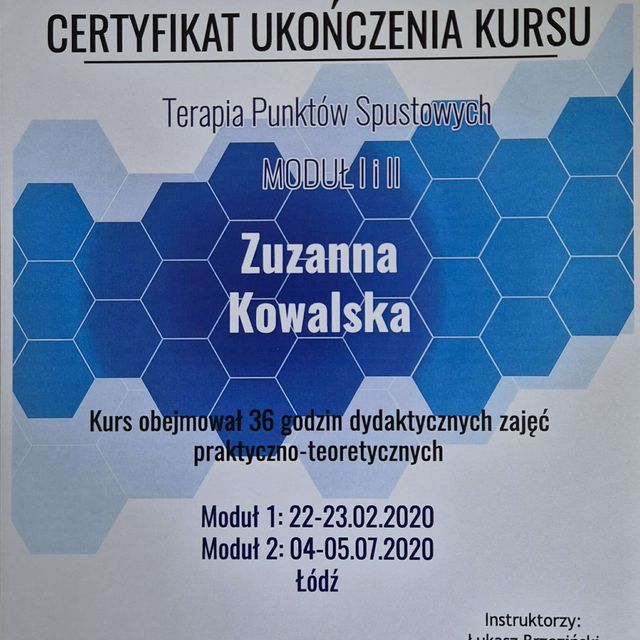 Powiększ obraz: certificate 8
