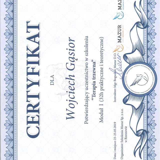 Powiększ obraz: certificate 19