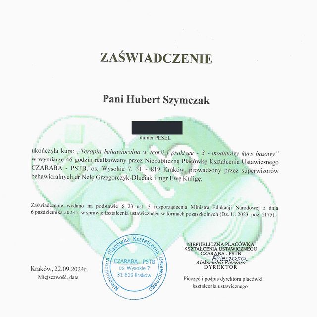 Powiększ obraz: certificate 2