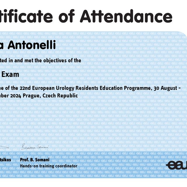 Ingrandire l'immagine: certificate 1