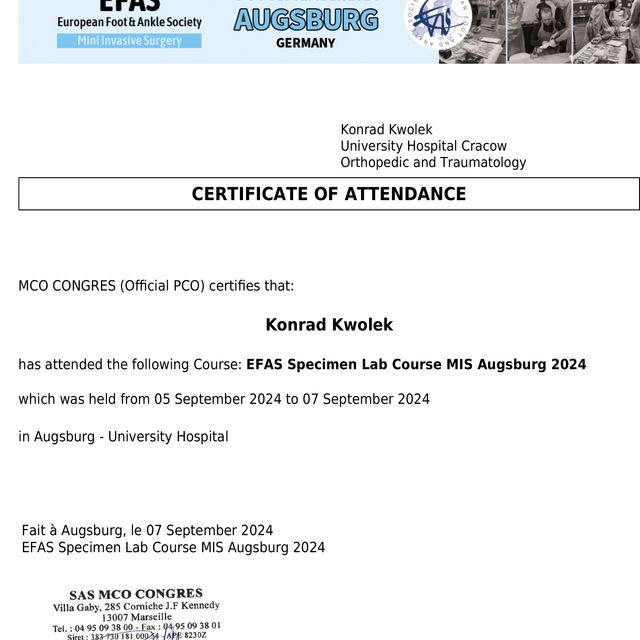 Powiększ obraz: certificate 10