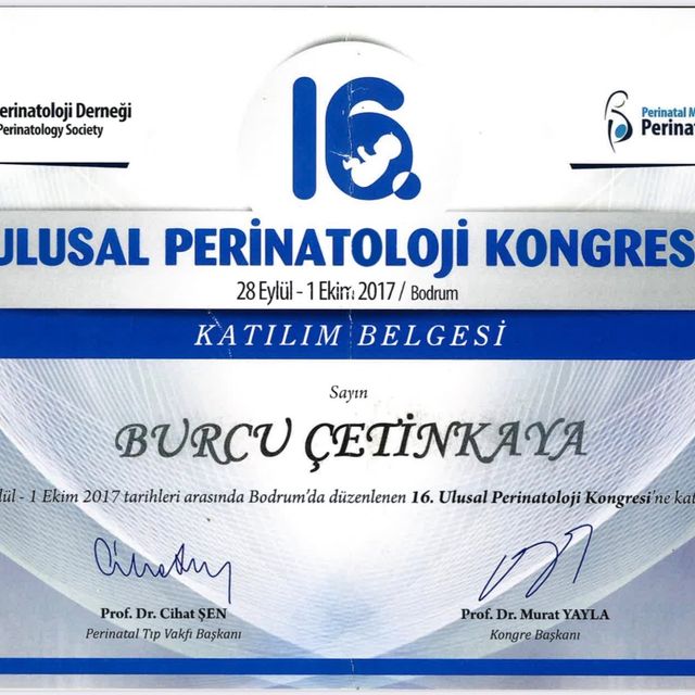 Resmi büyüt: certificate 19