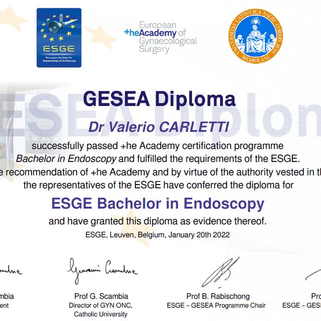 Ingrandire l'immagine: certificate 2