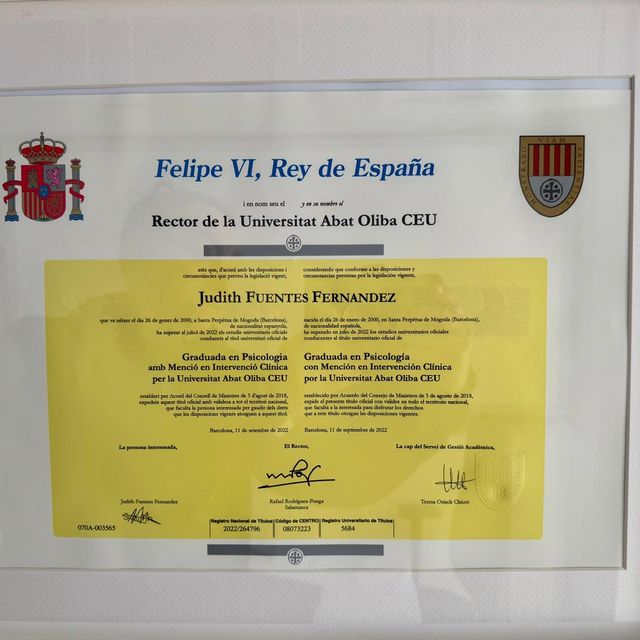 Acercar imagen: certificate 6