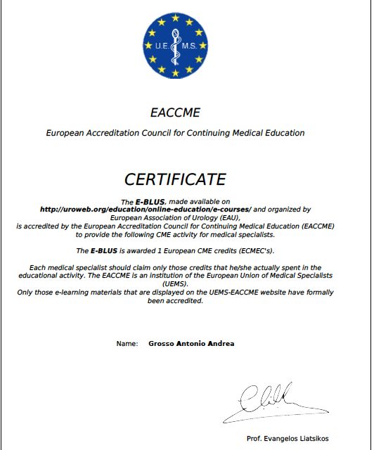 Ingrandire l'immagine: certificate 2