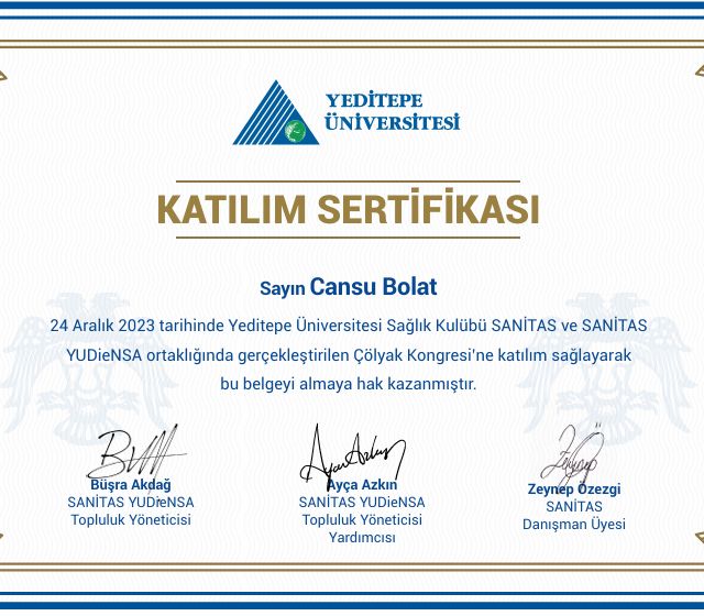 Resmi büyüt: certificate 4