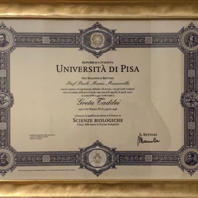 Ingrandire l'immagine: certificate 1