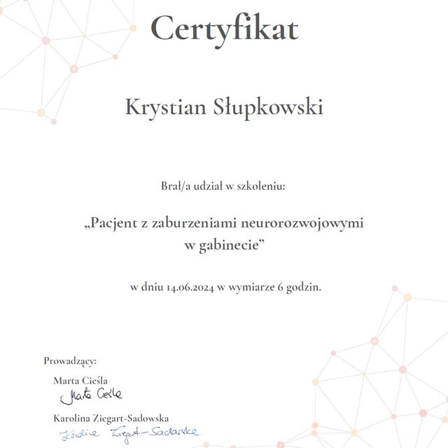 Powiększ obraz: certificate 1