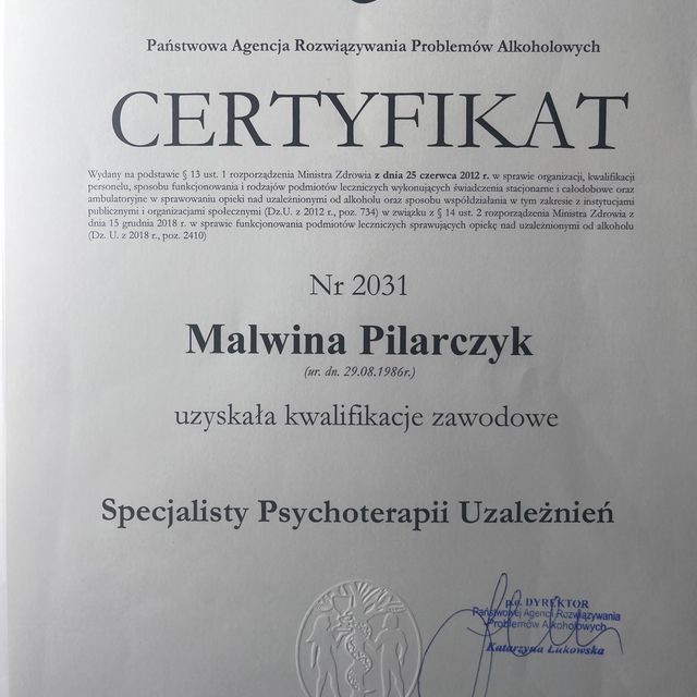 Powiększ obraz: certificate 1