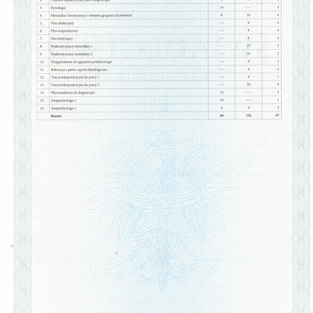 Powiększ obraz: certificate 3