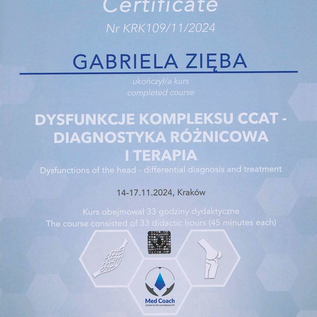 Powiększ obraz: certificate 4