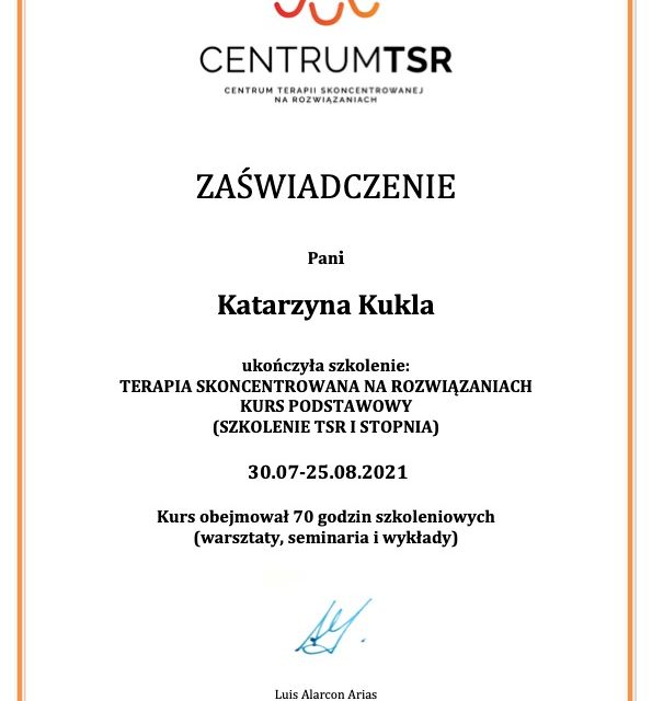 Powiększ obraz: certificate 1