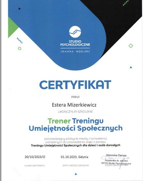 Powiększ obraz: certificate 2