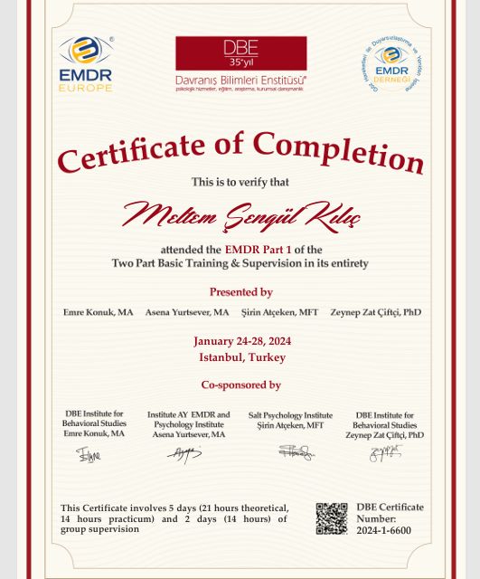 Resmi büyüt: certificate 2