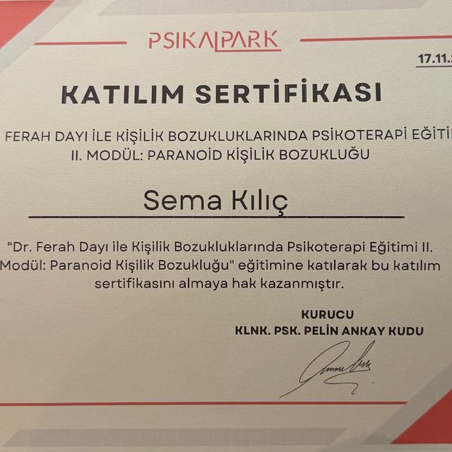 Resmi büyüt: certificate 13