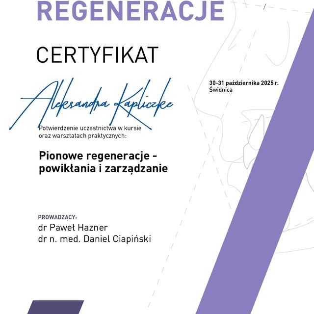 Powiększ obraz: certificate 1