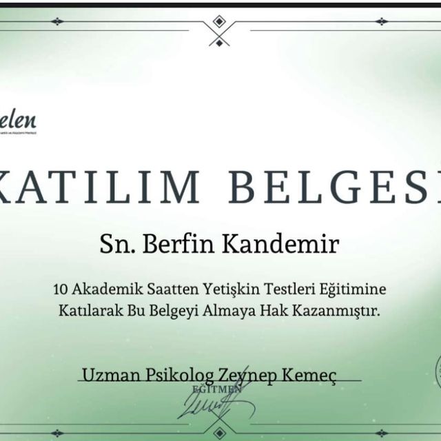 Resmi büyüt: certificate 6