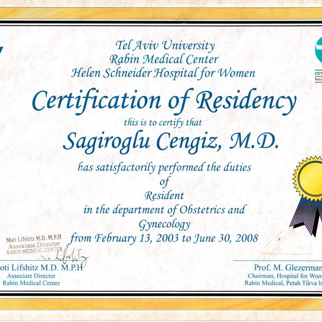 Resmi büyüt: certificate 1