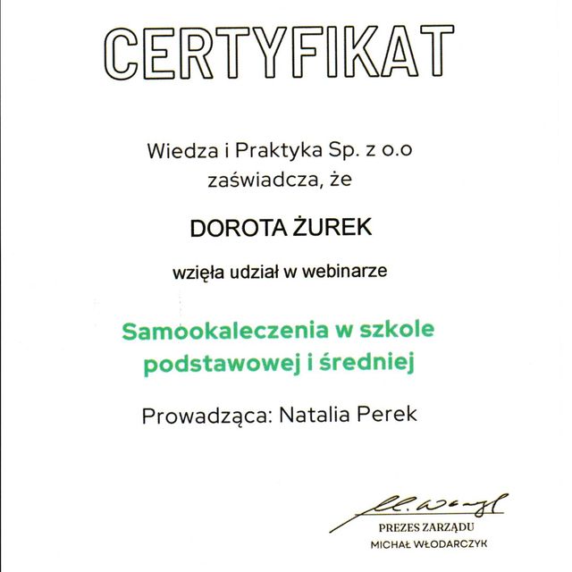 Powiększ obraz: certificate 8