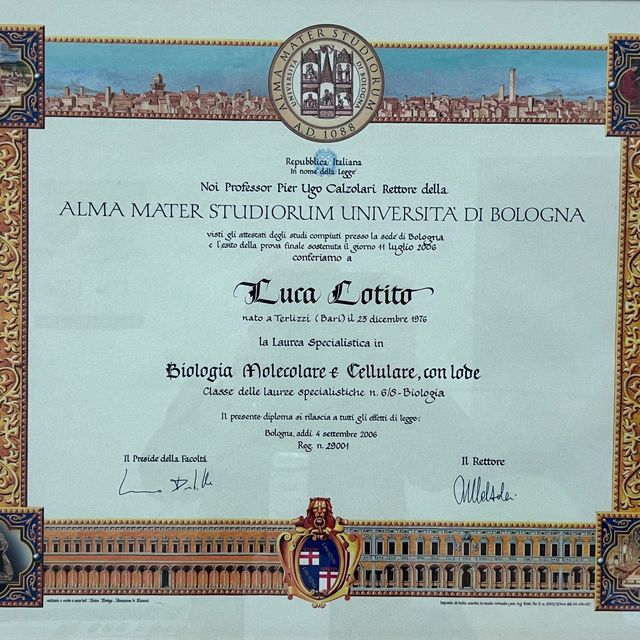Ingrandire l'immagine: certificate 5