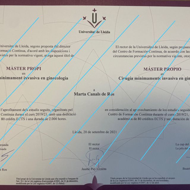 Acercar imagen: certificate 3