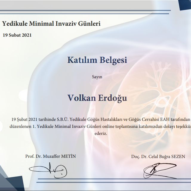 Resmi büyüt: certificate 1