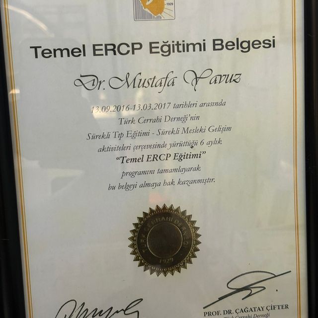 Resmi büyüt: certificate 12