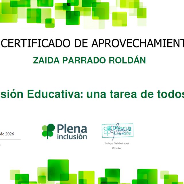 Acercar imagen: certificate 6