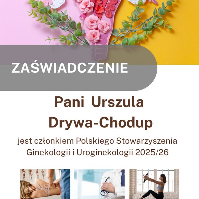 Powiększ obraz: certificate 5