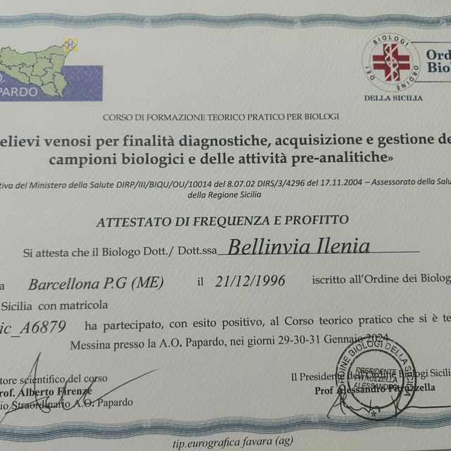 Ingrandire l'immagine: certificate 6