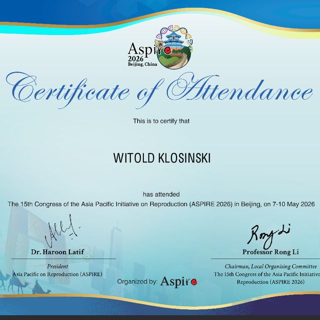 Powiększ obraz: certificate 29