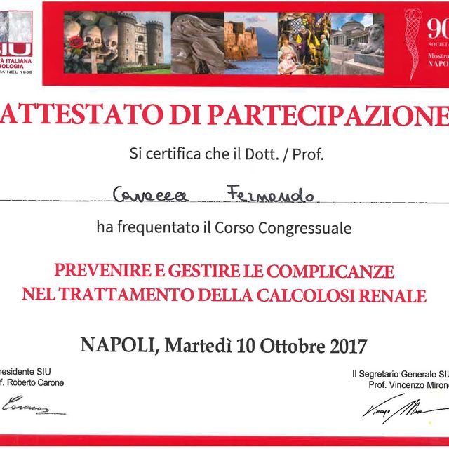 Ingrandire l'immagine: certificate 63