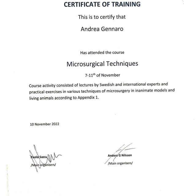 Ingrandire l'immagine: certificate 3