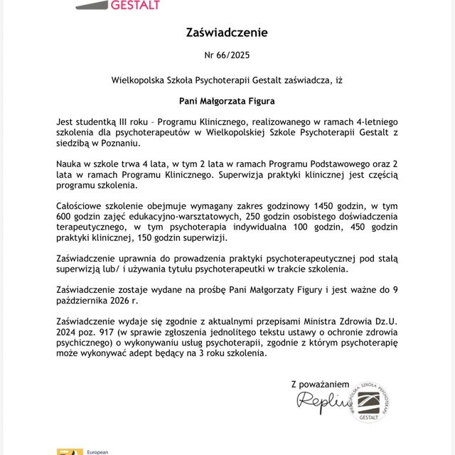 Powiększ obraz: certificate 1