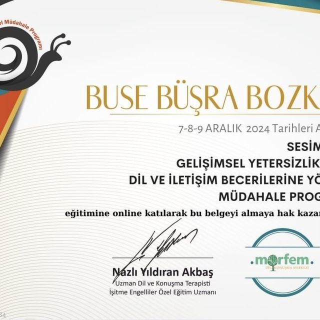 Resmi büyüt: certificate 10