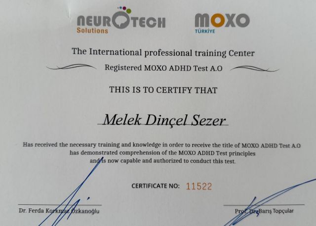 Resmi büyüt: certificate 9